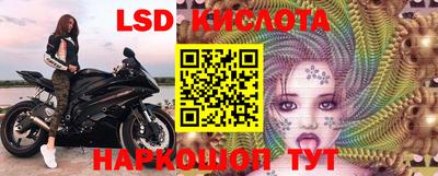 Альфа ПВП Кандалакша