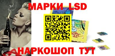 Альфа ПВП Кандалакша