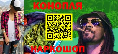apvp Канаш