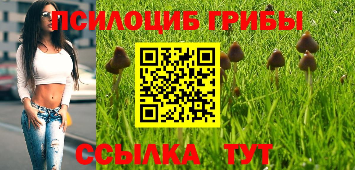 Где продают наркотики?  Меф   МЕФ  ГАШ  Кудрово  Вход с VPN  Марихуана 